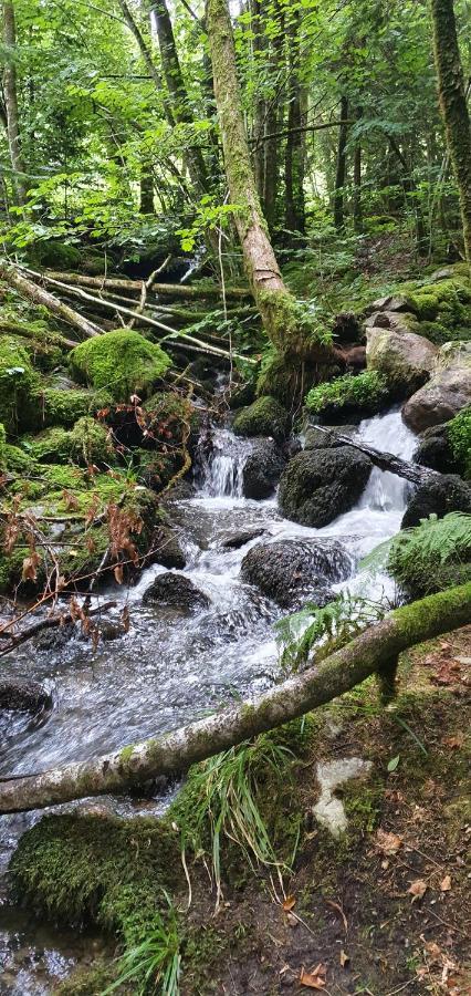 Black Forest Kuckucksnest Schönwalde Buitenkant foto