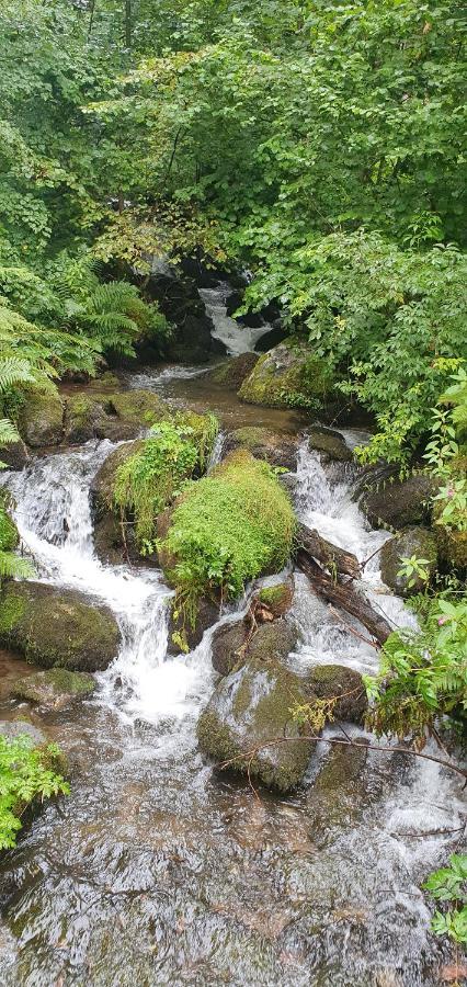 Black Forest Kuckucksnest Schönwalde Buitenkant foto