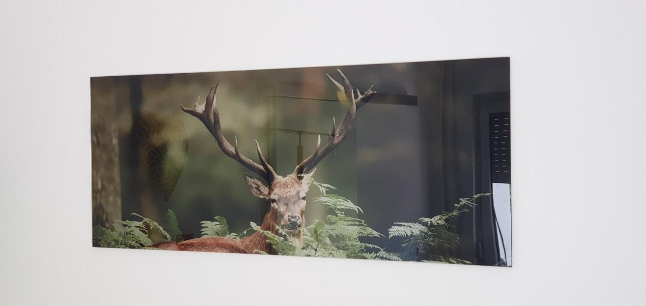Black Forest Kuckucksnest Schönwalde Buitenkant foto