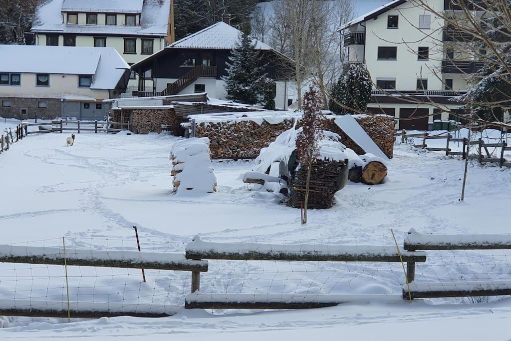 Black Forest Kuckucksnest Schönwalde Buitenkant foto