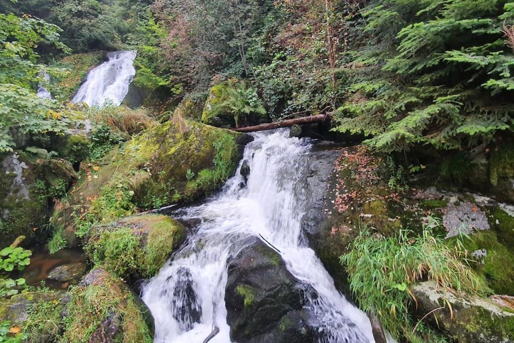 Black Forest Kuckucksnest Schönwalde Buitenkant foto