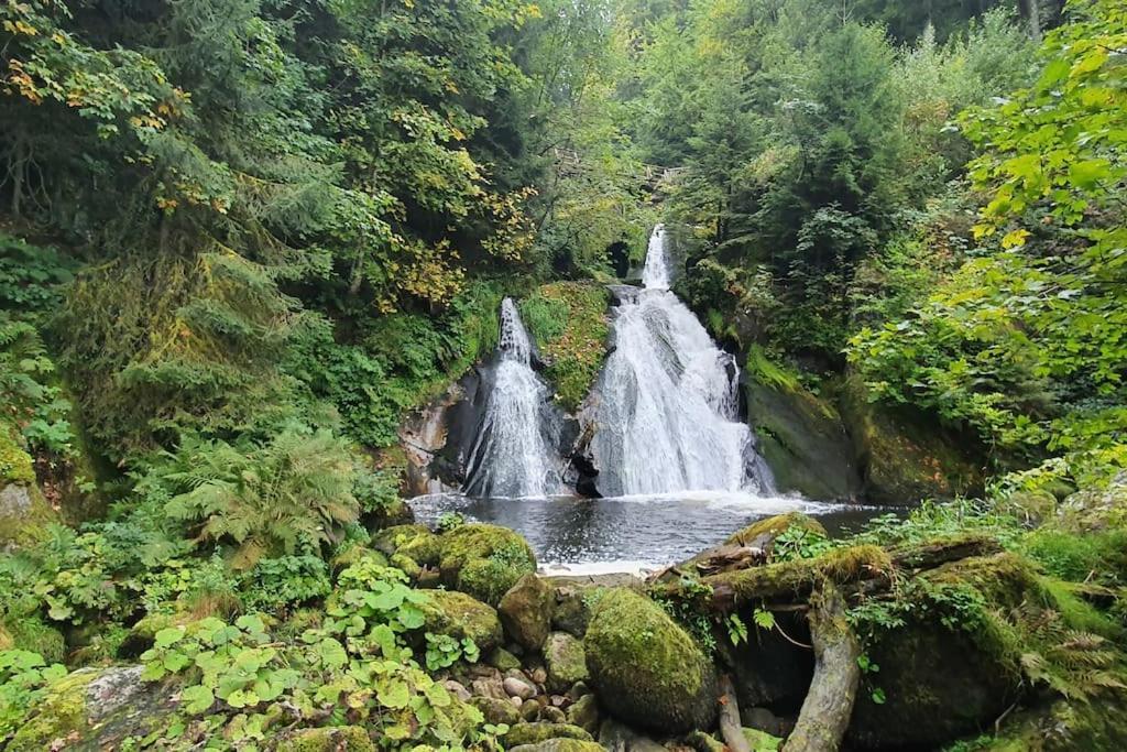 Black Forest Kuckucksnest Schönwalde Buitenkant foto