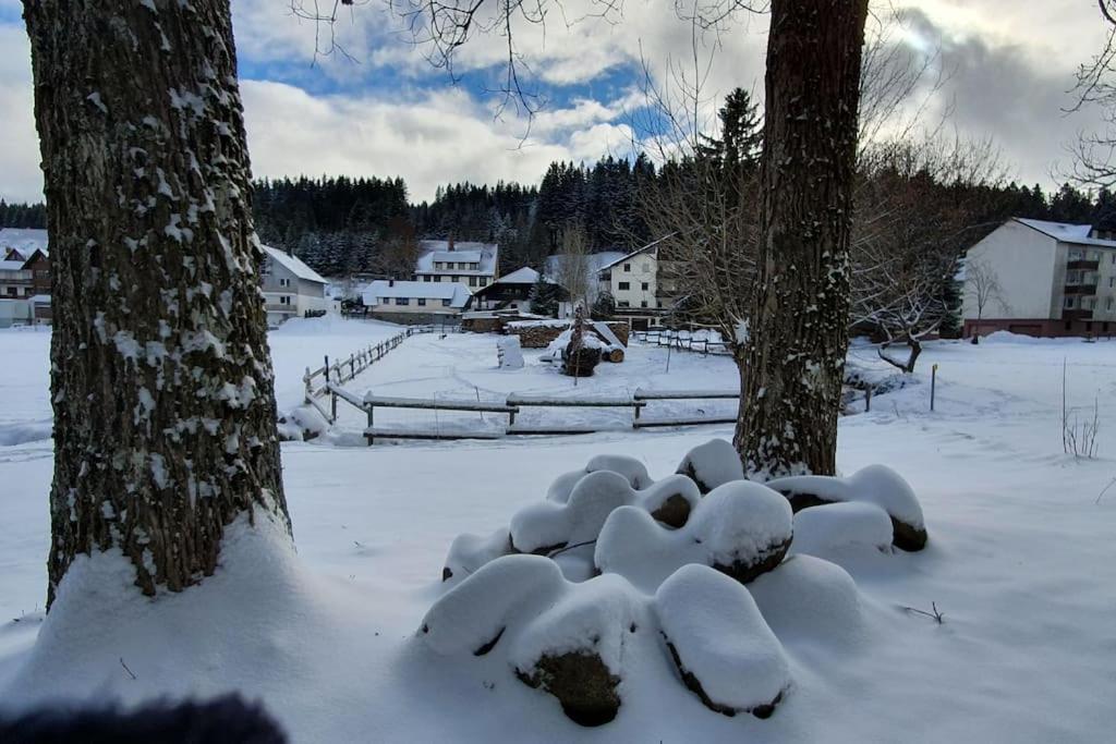 Black Forest Kuckucksnest Schönwalde Buitenkant foto